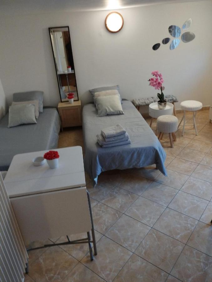 Studio Meuble Avec Piscine Partagee La Ferté-Gaucher Buitenkant foto